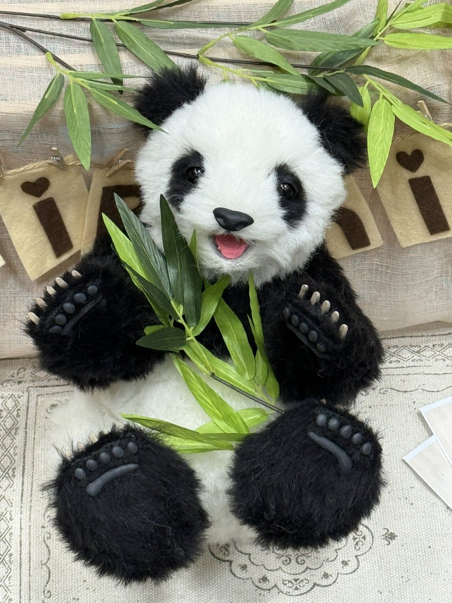 アーティストベア　パンダテディベア ゆーや🧸テディベアアーティスト🧸 (@puni_puni_bear) / Posts / X