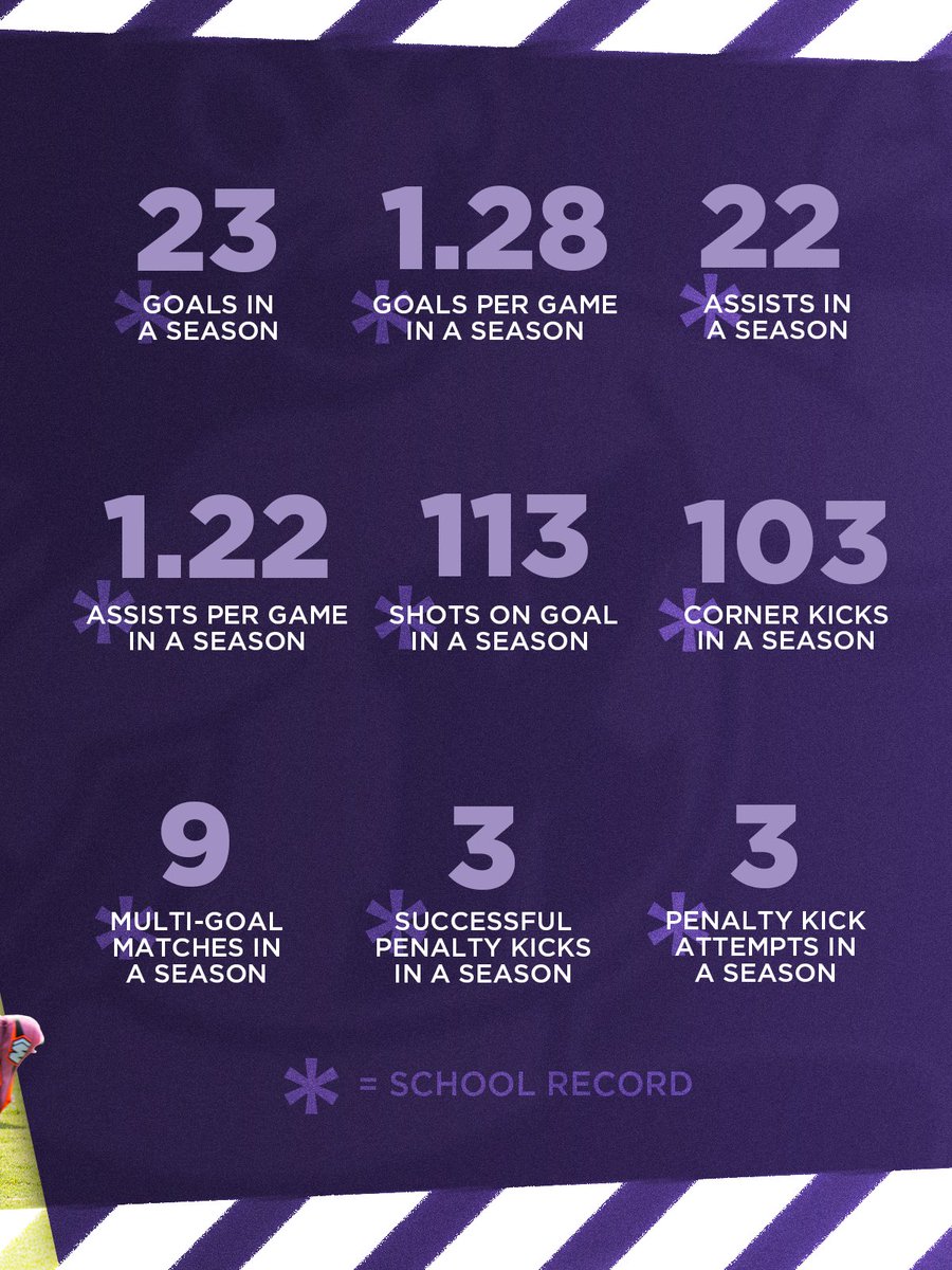 CATS ON THE PROWL 😼