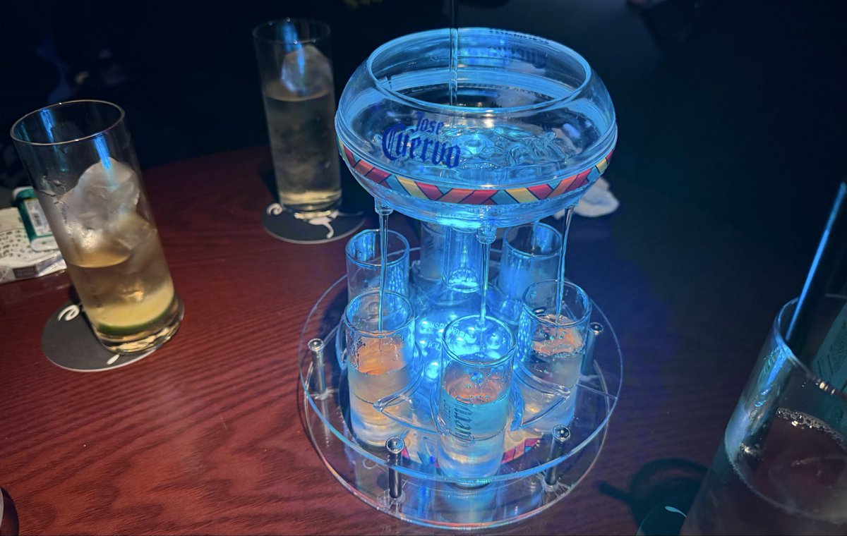 ハニ🍯🍼🩵 tweet media