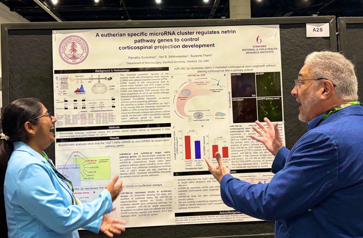 Suzanne Tharin MD PhD tweet media