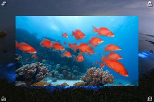 ♟Sunlight through the blinds, making stripes on my desk. Productive light.🎽Youth, future leaders. Nurture.