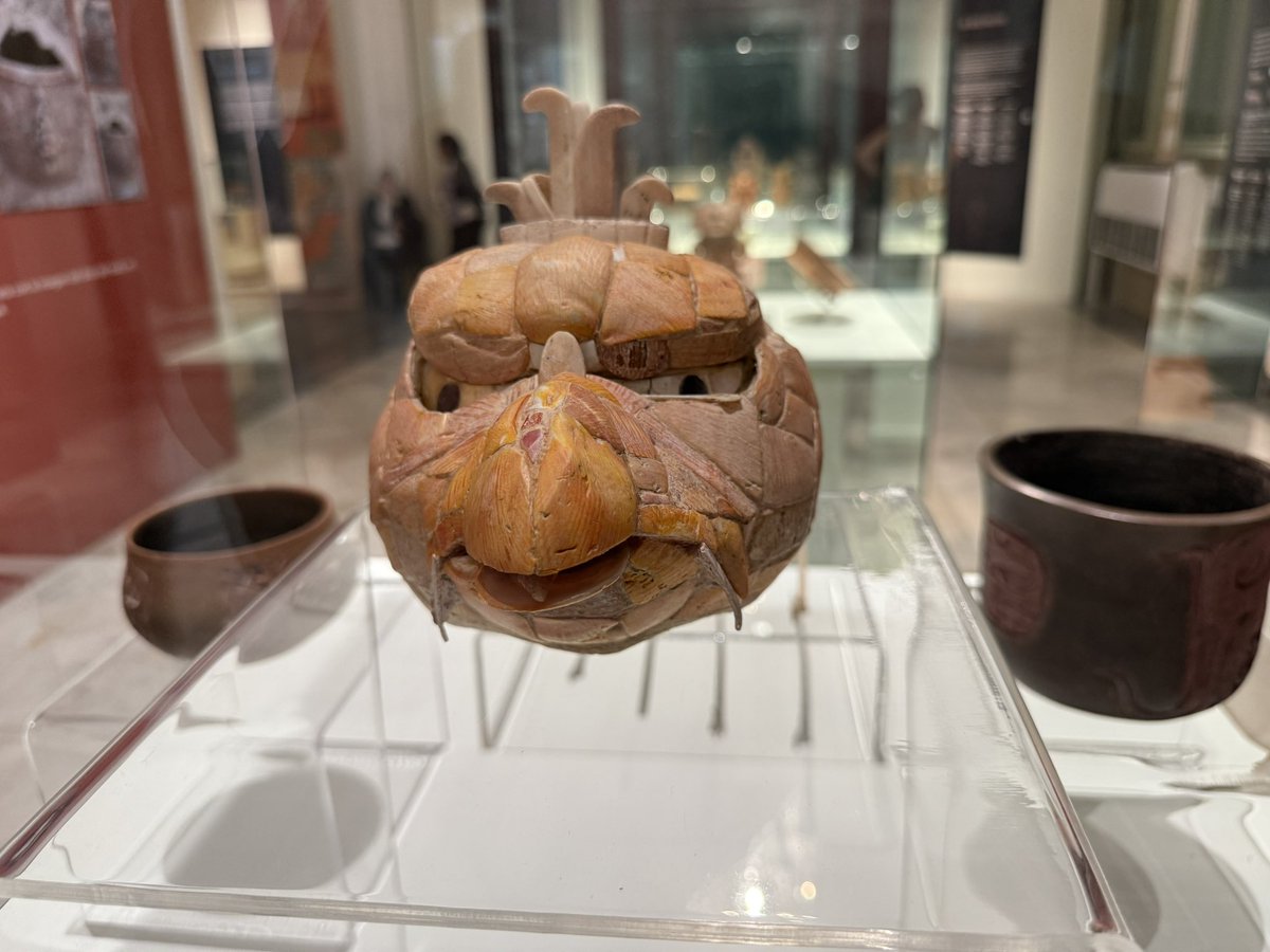 begin3d's tweet image. メリダ人類学博物館。マヤ文明、ドラクエ感が強いのかも。