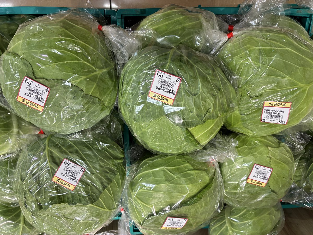 summitmatudo's tweet photo. #サミット
#新鮮野菜
本日も農家さん直送新鮮野菜を
豊富にご用意しております❗️

甘みの強い鈴木さんの長ネギや大根など
鮮度抜群です☆ https://t.co/IBLjG0GIHd