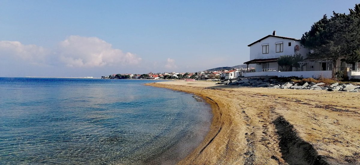 msbalioglu's tweet image. 15.11.25