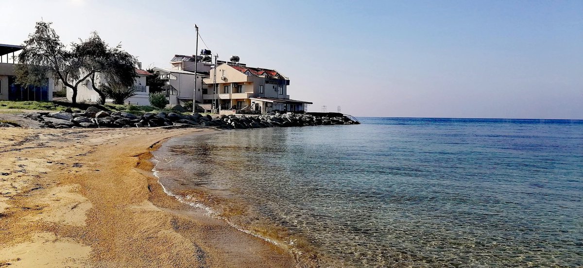 msbalioglu's tweet image. 15.11.25