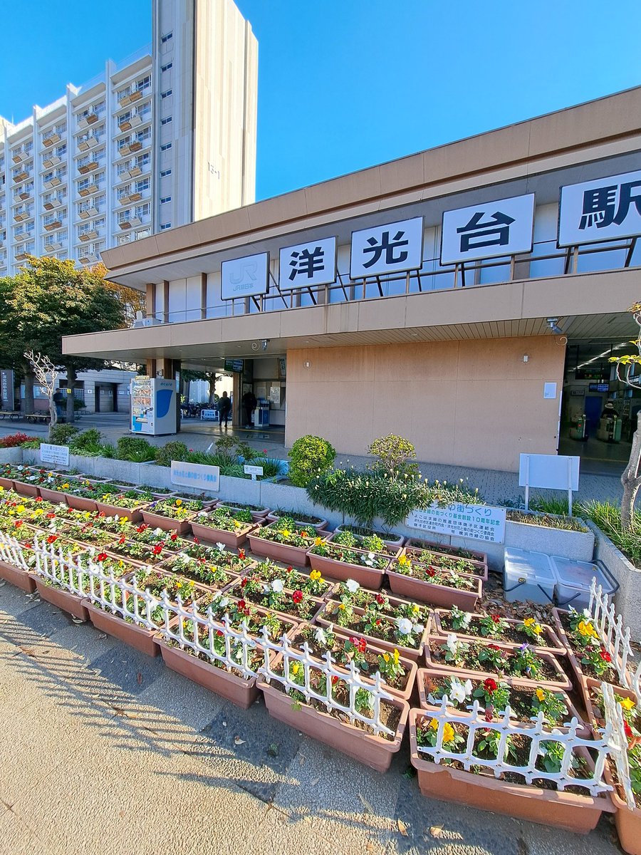 #洋光台
#ハンドメイド
#マルシェ
マルシェ2日目❕天気良き☀️