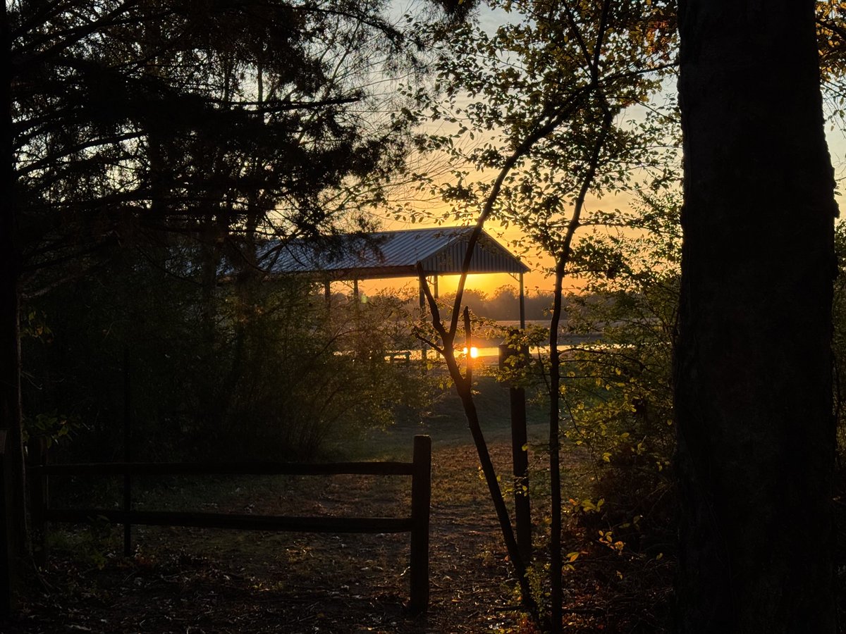 PINKhikes's tweet image. Had a nice hike this afternoon at Wheeler National Wildlife Refuge, 7.5 miles… and the bonus ??? #CraneWatching #sandhillcranes and #blueherons 💕 I am tickled #PINK !!! 
#WheelerNWR #POTA #sunset #hiking #hikelife #HikinNHammin #HikingwithPINK ⁦@hikinnhammin⁩