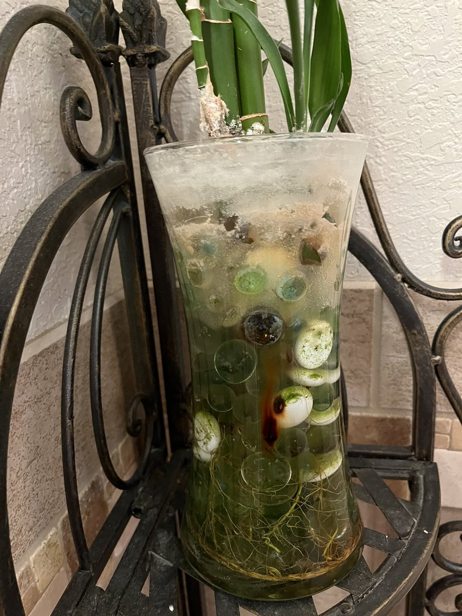 JenniferCHicks's tweet photo. Vase in a public bathroom looks like there are small blobby creatures trying to escape. https://t.co/fDGiUB4msa
