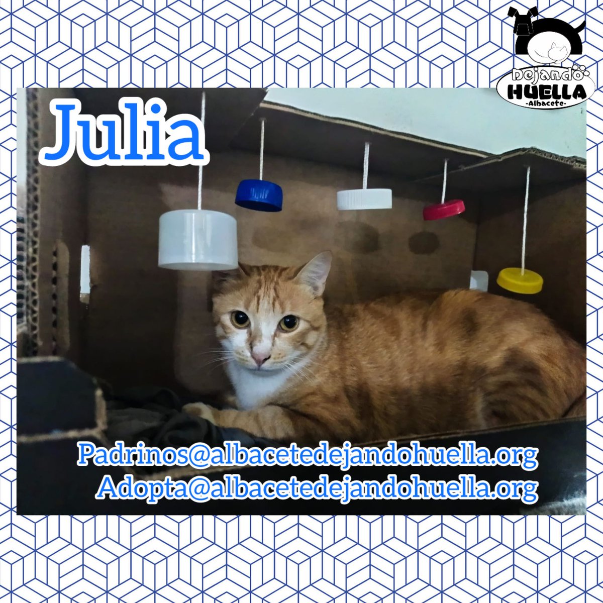 ¡Nos encanta este juego que tiene Julia hecho con materiales reciclados!  Ella también tiene cara de que le gusta mucho, seguro que lo mete en su maleta cuando encuentre su hogar definitivo😉
Padrinos@albacetedejandohuella.org
Adopta@albacetedejandohuella.org