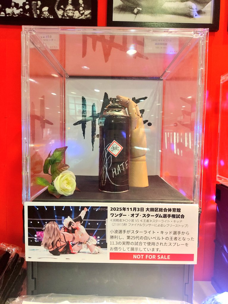 mawashimono29's tweet image. て、展示、か、完了、、、🥹