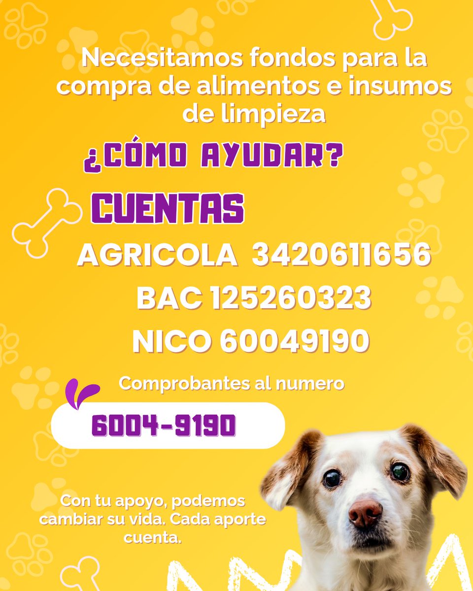 Solicitamos de su valiosa ayuda para poder alimentar este mes a los peludos de refugio de <a href="/Pets_Trip/">Pet's Trip</a> 
Cada dólar cuenta cada ayuda cuenta🐾🐕🐾🐕 <a href="/chepe_mlima/">pepe</a> <a href="/cony_elias/">Cony Elías</a> <a href="/DianaV2512/">Diana Verónica Ramos</a> <a href="/JeannetteAguil1/">Jeannette Aguilar 🇸🇻 🇵🇸</a> <a href="/MarlonRodSF/">M.J.</a> <a href="/LpPenado/">L.R.Penado</a>