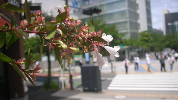 honky_tonk's tweet image. 【不変】
必要なものはすべて揃っており、常時適切な状況にある

【変動要素】
意識を今ココに開いて味わい、活用する事ができるか否か

【ファンダメンタルズ (基礎的条件)】
宇宙が万全の叡智と愛情をもって紡いでくれる人生に対する信頼～行く先を委ねる気持ち
#entrust #委ねる #Cosmos #宇宙