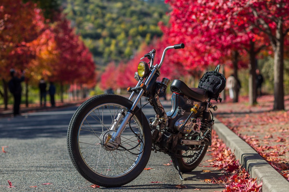 バッシー843☆ (@slopeslide843) / Posts / X