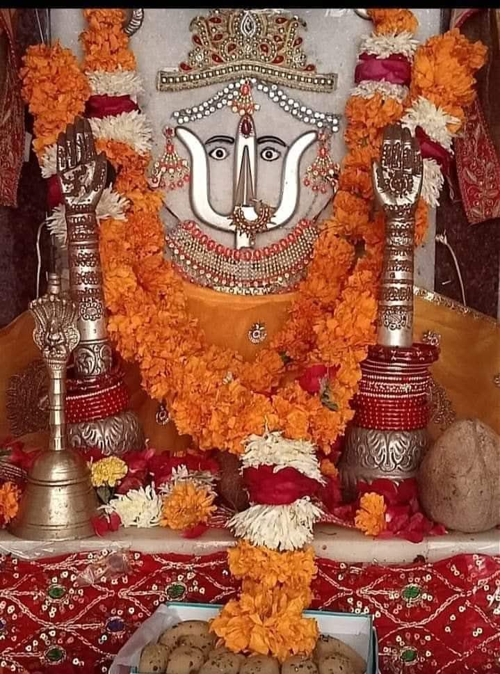 जय दादी की जय जय श्री दादी जी की भाई जी राणी सत्यै नमो नमः