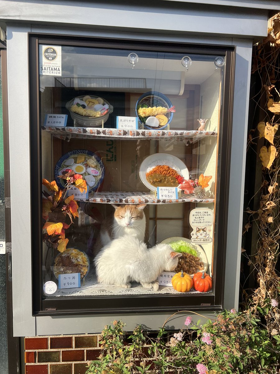 show-1⚔🍓🛡 BF6初心者 (@showsuga) / Posts / X