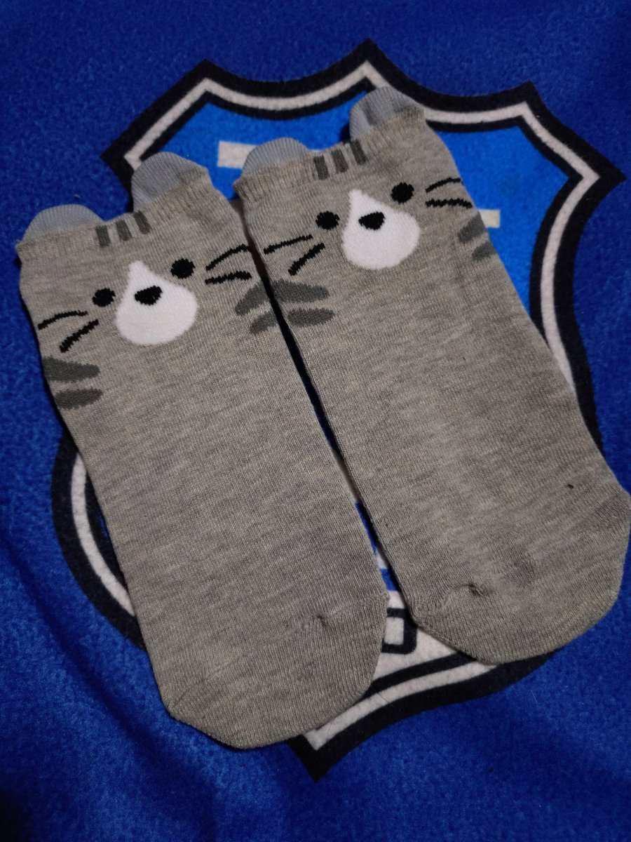 ねこまま (@ioQHYovuYIDMxcE) / Posts / X