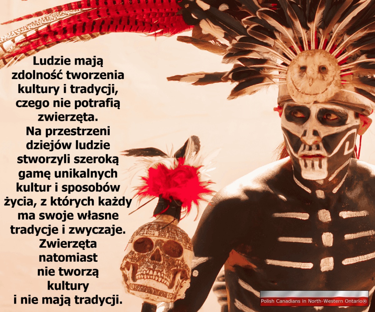 <a href="/Janusz84830804/">Janusz</a> <a href="/TeryAsic1/">TeryAsic1</a> Jakie sumienie mają np. Żydzi mordujący z premedytacją i z wyuzdaniem gestapowców ludność cywilną Palestyny? 
Ponad 30 000 zamordowanych dzieci palestyńskich to w porównaniu do "pełnoskalowej wojny na UPAdlinie" - *huj przeciwko wieczności!!!😡
Tylko tradycja !!! 
Bycie dobrym!!!