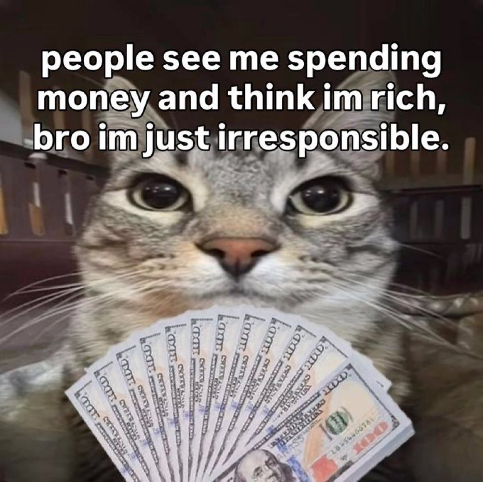 LiterallyMeCats (@literallymecats) on Twitter photo 