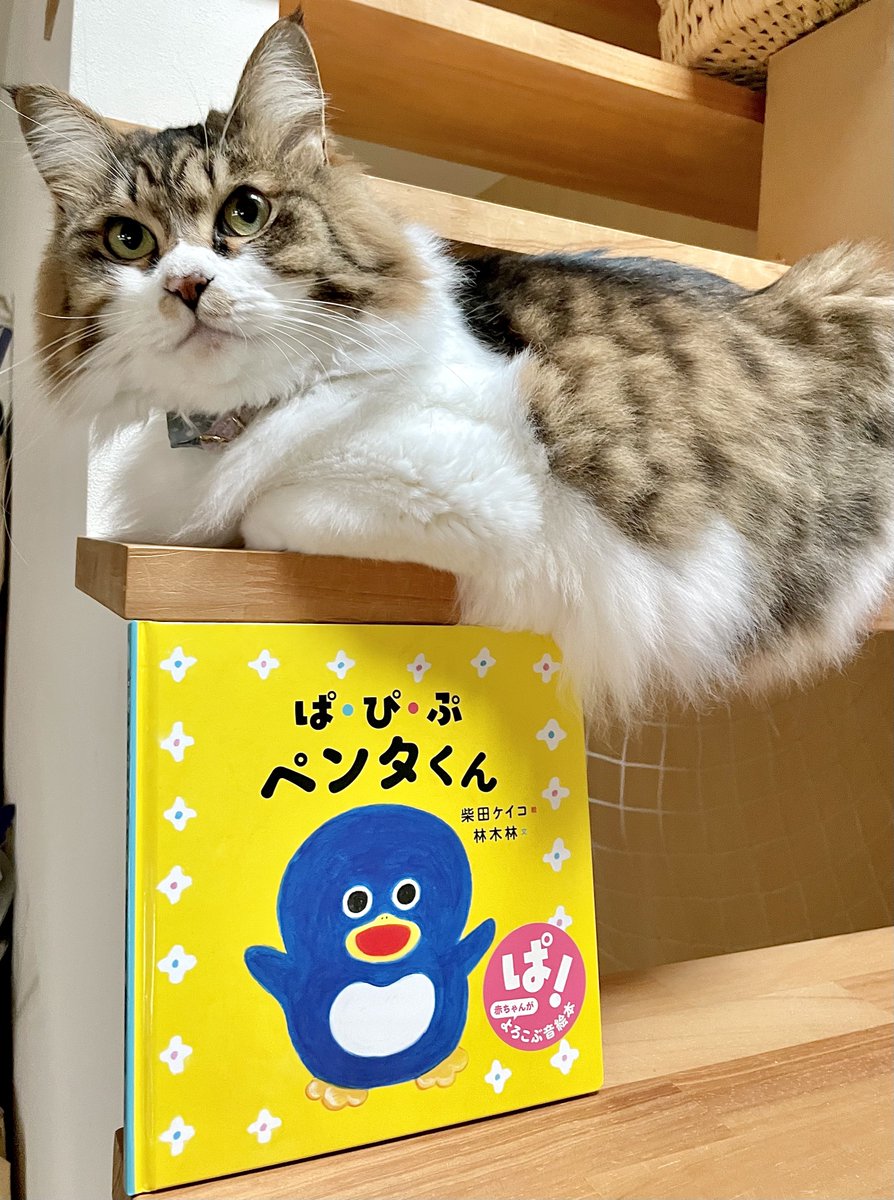 ぱぴぷペンタくん』は、林木林さんの奏でる｢ぱ行｣の擬音で展開するお話