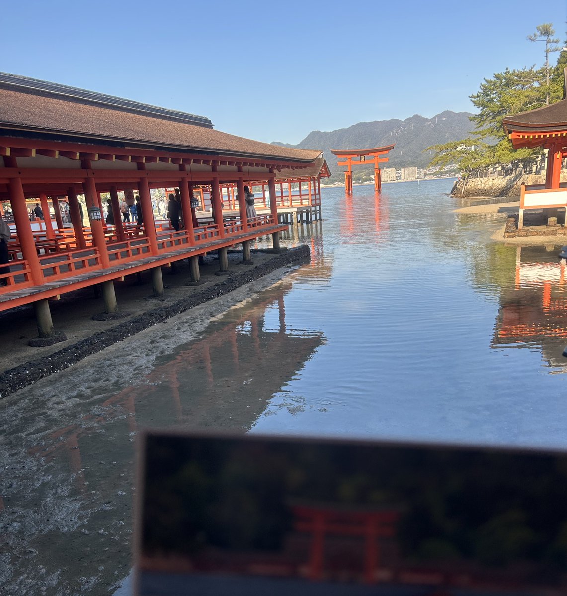 りりこ (@ririco1266) / Posts / X