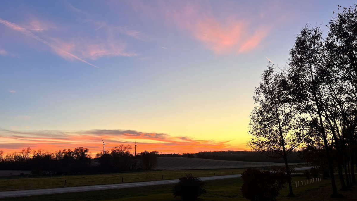 morpho_adam's tweet image. Beautiful day down on the farm. Such a blessing to have family lands.