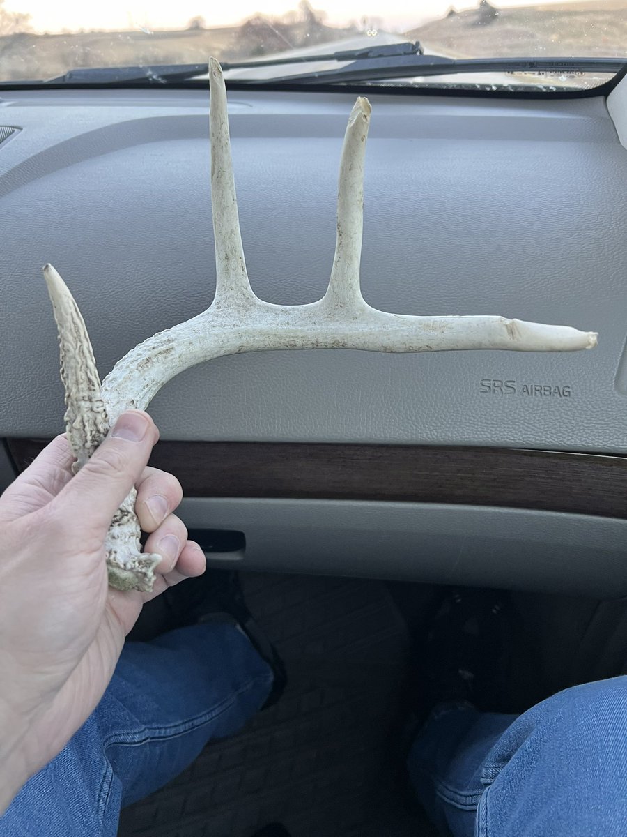 morpho_adam's tweet image. Beautiful day down on the farm. Such a blessing to have family lands.