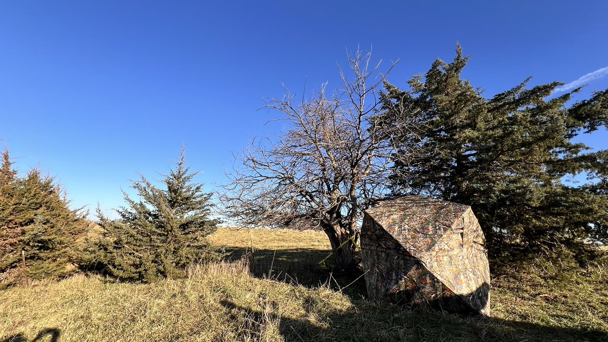 morpho_adam's tweet image. Beautiful day down on the farm. Such a blessing to have family lands.