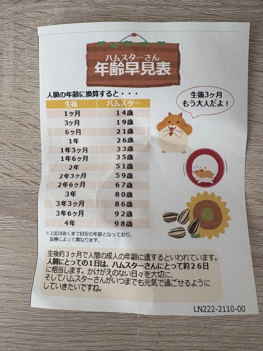 こういう紙見るだけで泣けてくる