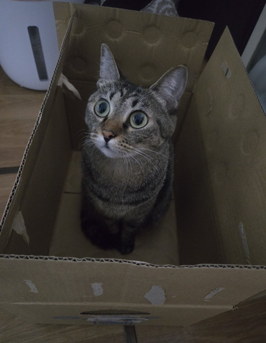 おはようございます😊
お気に入りのようで捨てれない段ボールはこちらです。