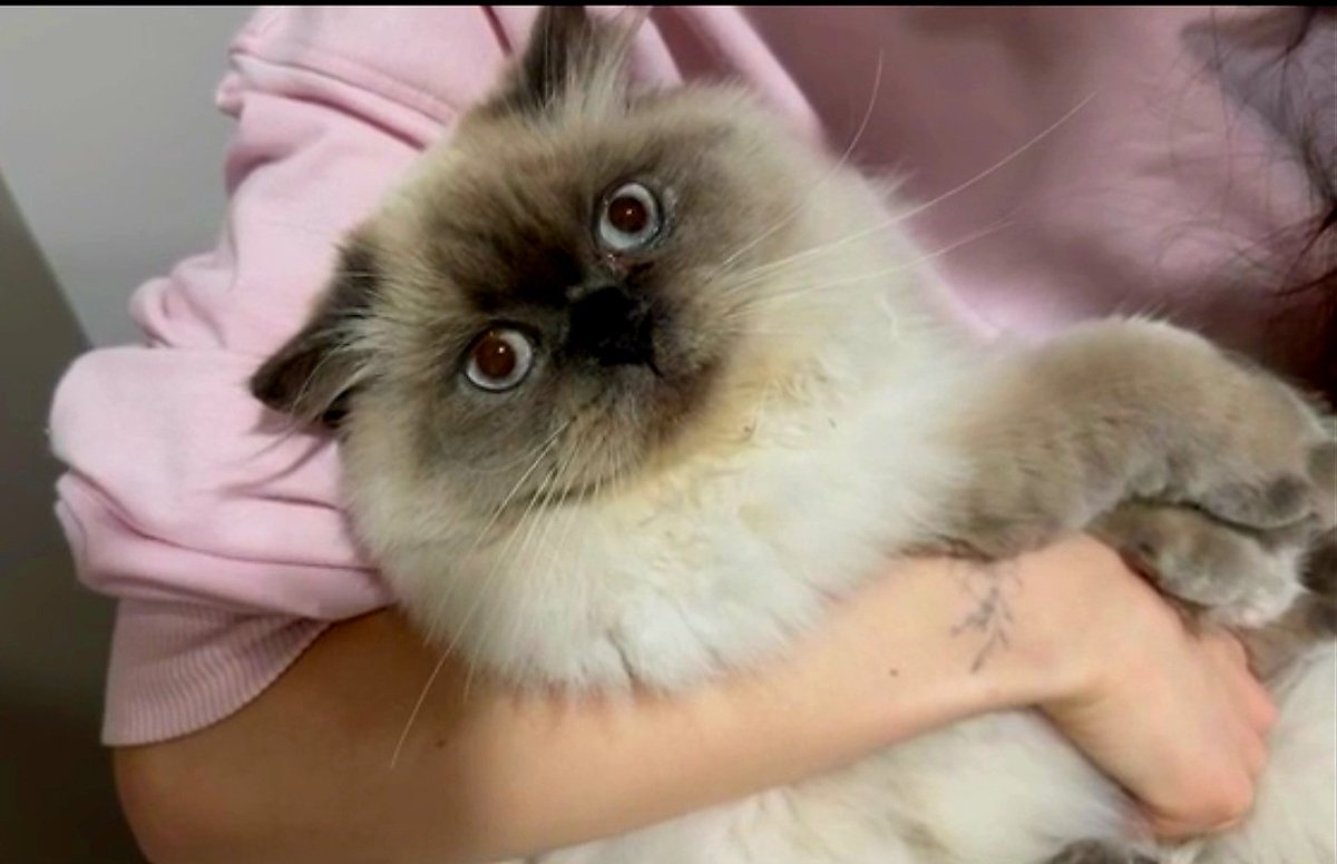 Bak bak sıkılmıyorsun öyle güzeller, öyle canlar ,öyle kalpleri güzel iyi ki siz çocuklarım  iyiki🩵
#elsed