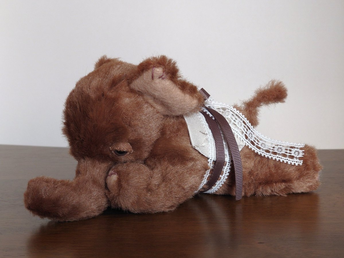 おはようございます。
ぞうさんはまだ眠そうです🐘💤