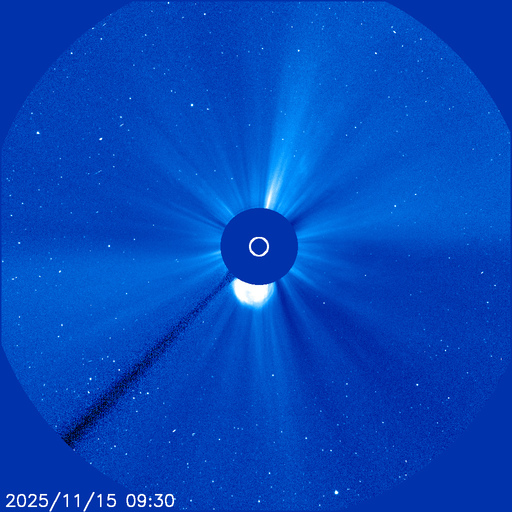 Jure Atanackov tweet media