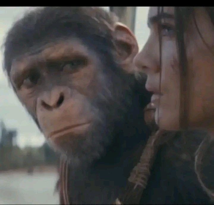 MavinResearcher's tweet image. 2020 I stumbled across one group 
I almost die

Idolo: Buy Gold
(**Trade hits SL)

(***5 mins later)

Idolo: sell Gold
(***Trade hits SL)

***15mins later 

Idolo: I hope you&apos;re still holding that BUYS 
we&apos;re in massive profits now

Holding which buys sir??