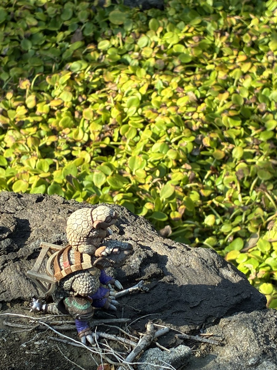 mesonosuke's tweet image. おはようございます