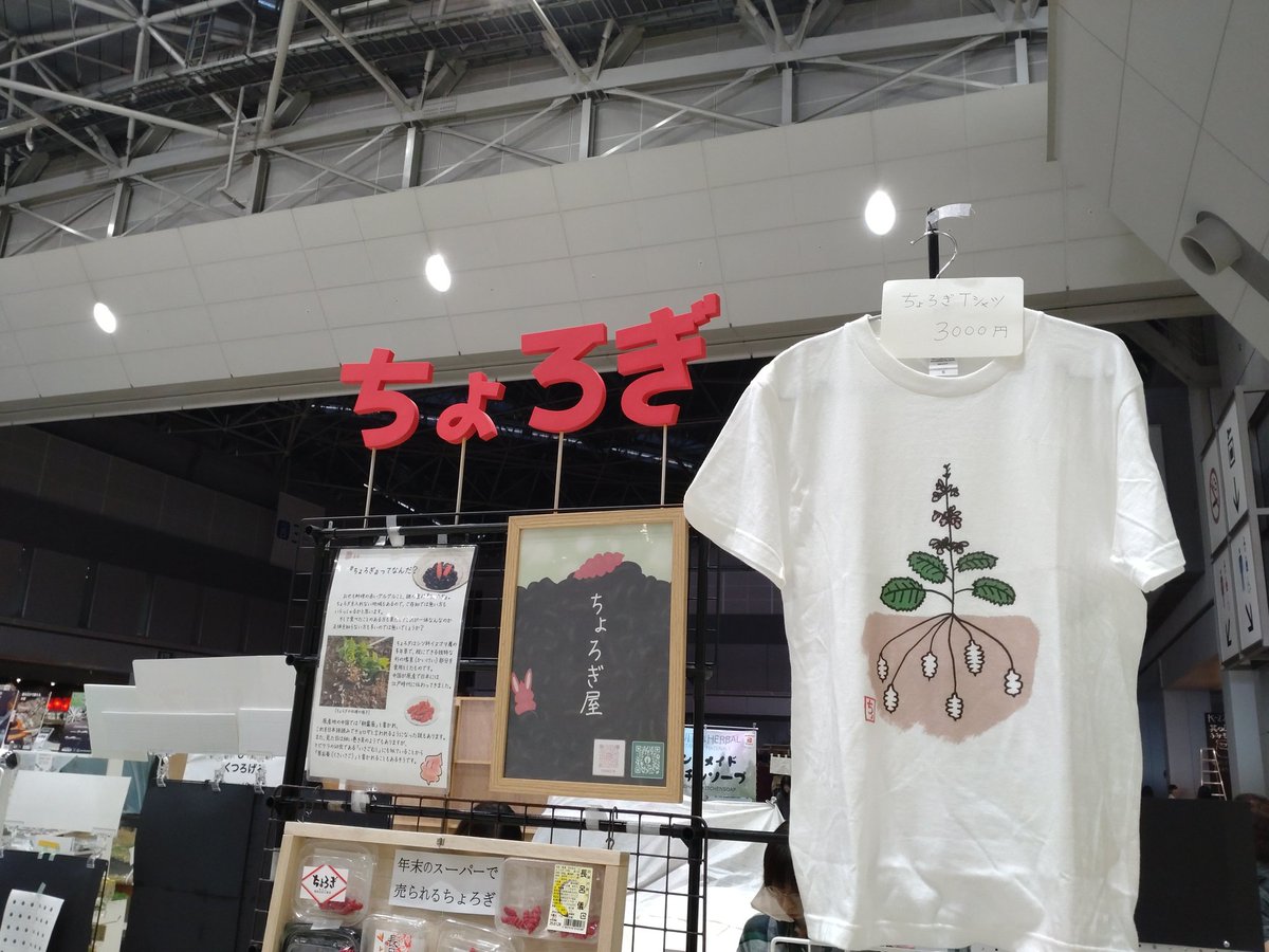 デザフェス2日目会場入りしました！！今日もちょろぎと共に楽しく