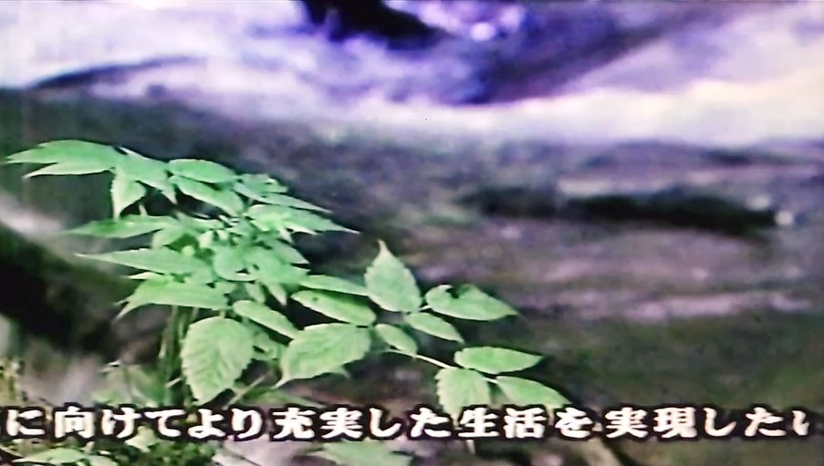 notvnolife2023's tweet photo. 大日本製薬株式会社のCM
おそらく日本テレビ「健康増進時代」の中のCMと思われ、70年代の雰囲気が漂いますが実際の放送開始時期は不明です…
録画した回は、このCMと同時に、平成に作られたと思われる新しいver（↓）も流れており、画質と古さのギャップに圧倒されました… https://t.co/LswTsLZOeU