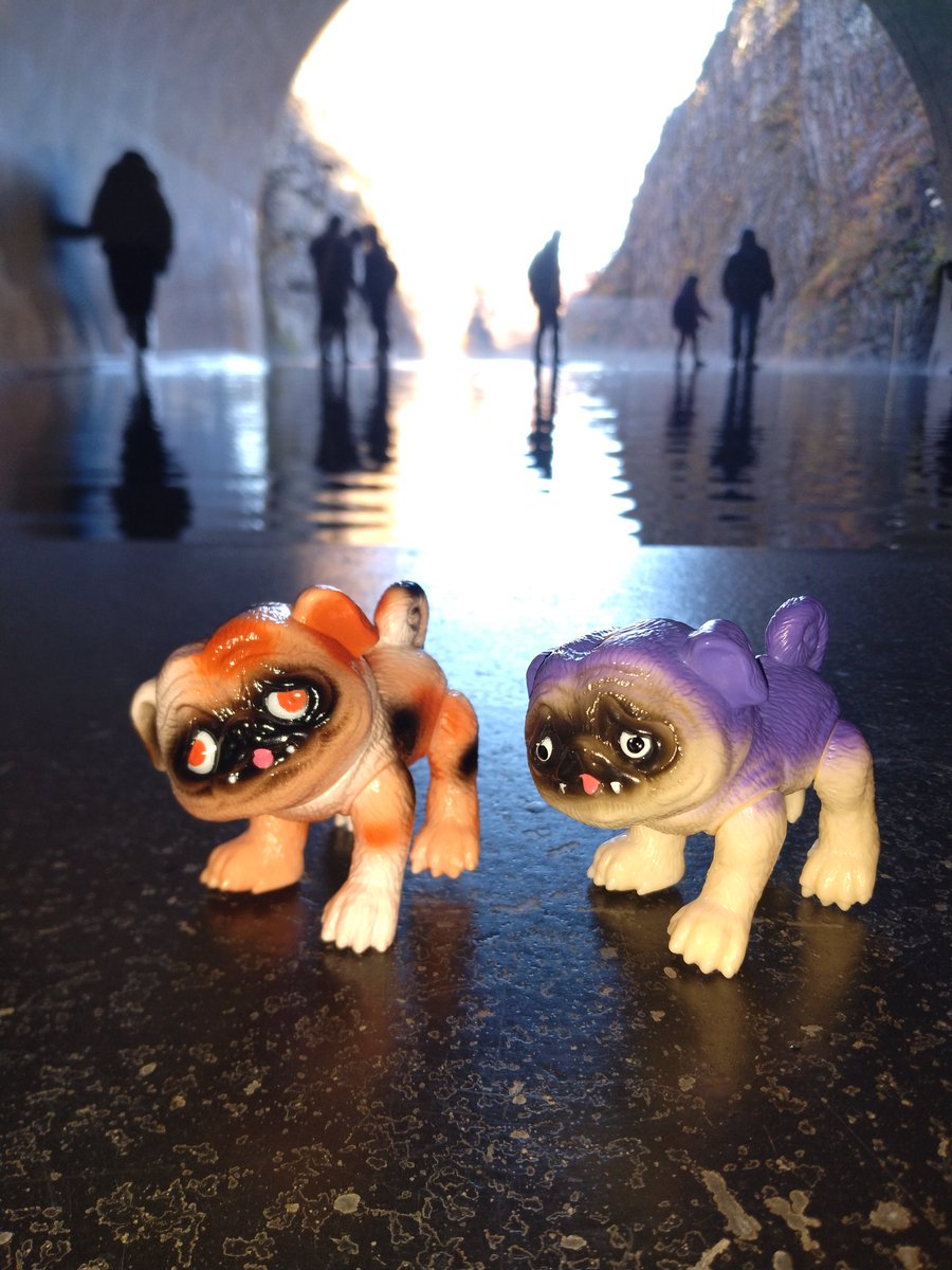 パグ獣🐶作った人あきぱぐ🐶 (@pugchaa) / Posts / X