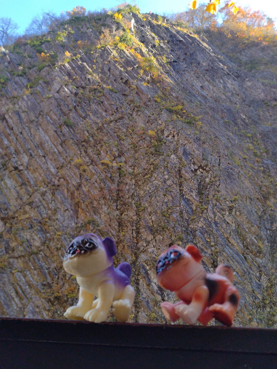 清津峡渓谷トンネルへ🐕
#パグ獣 #ナス獣 #ミケ獣
#清津峡 #清津峡渓谷トンネル