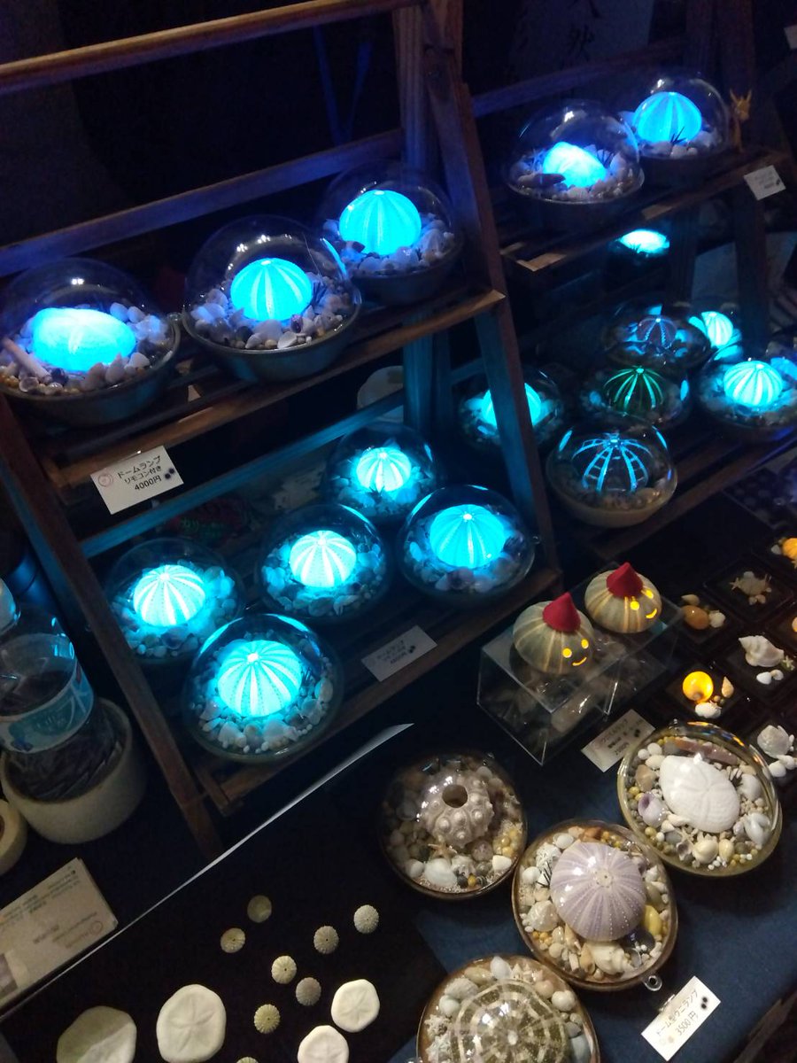 NA_function's tweet photo. デザフェス１日目。ウニとか海好きな方といっぱい話せて嬉しかったです。
２日目も頑張る😆👍❤
#デザインフェスタ
#デザフェス
#designfesta
#na_function_uni
#シェルランプ
#貝殻
#幾何学模様
#seaurchins https://t.co/9QyyNCG79u