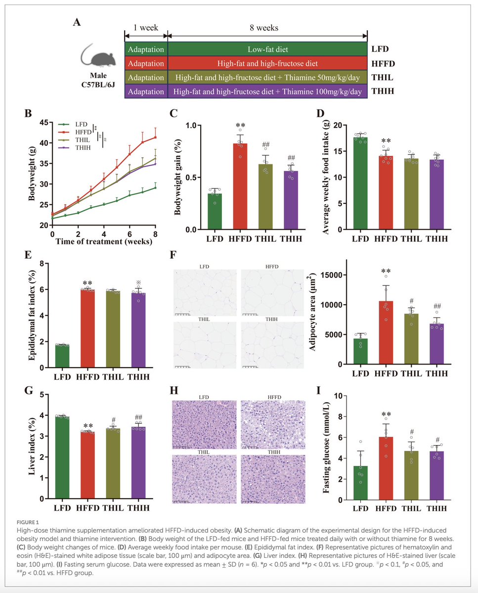 Outdoctrination's tweet image. Thiamine (vitamin B1) megadosing induces fat loss without changing calories, study shows.

Monster doses (250X normal intake) were shown to:

✤ Drop body weight / fat gain
✤ Reduce liver fat accumulation

mainly due to its effects in the gut:

✤ Improved leaky gut (better gut…