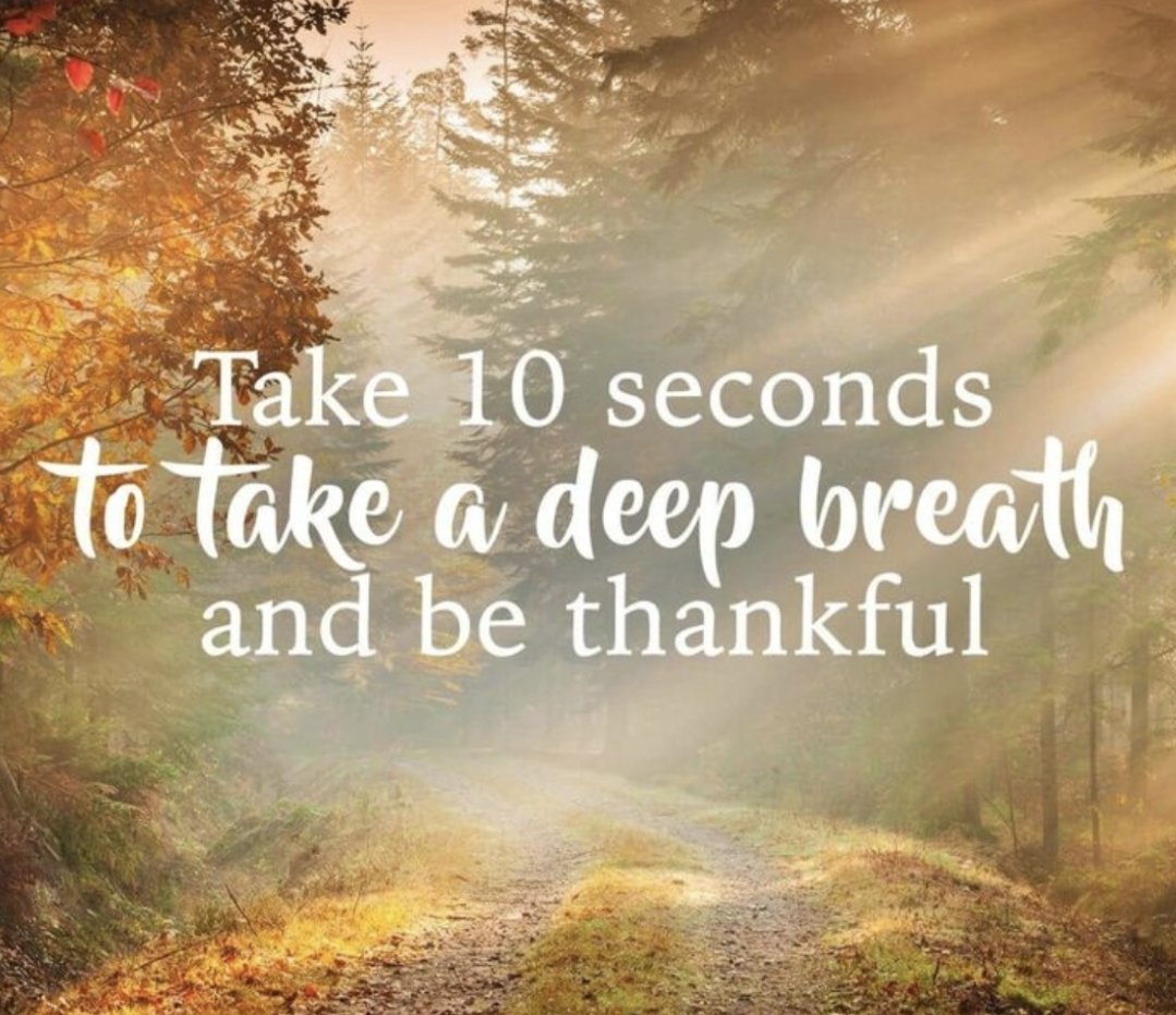 MommaSmallzz's tweet photo. I take great pleasure in staying in bed at least until the sun comes up on weekends & holidays.
#DailyGratitude
#30DaysOfThanks
What are you thankful for? https://t.co/Rbl8dH3Pmf