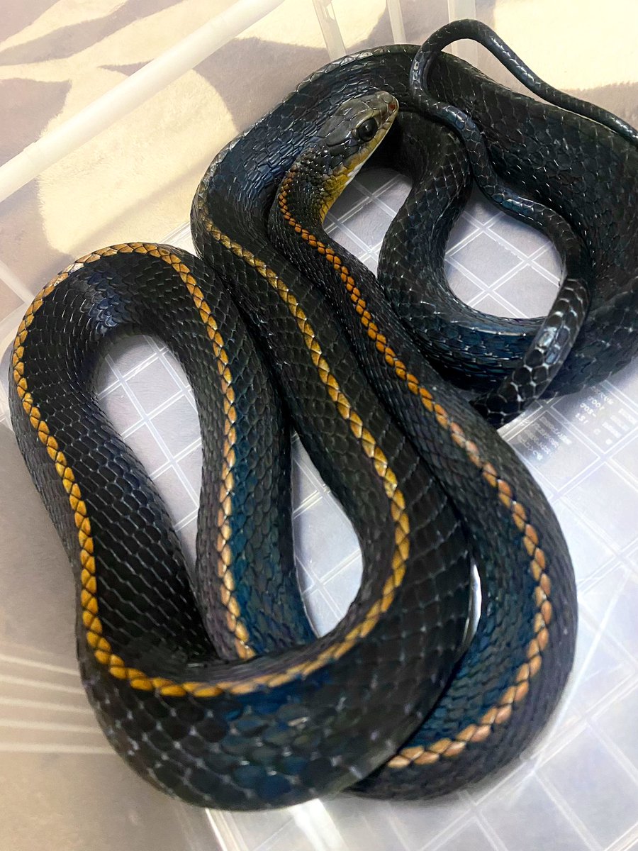 脱いだ！！！！