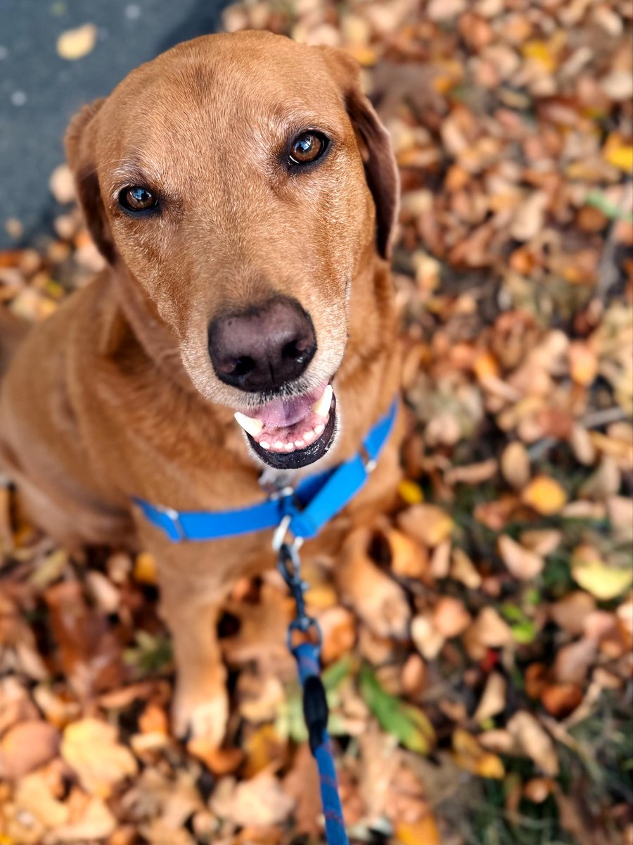 John Fleno. 🇮🇹 tweet media