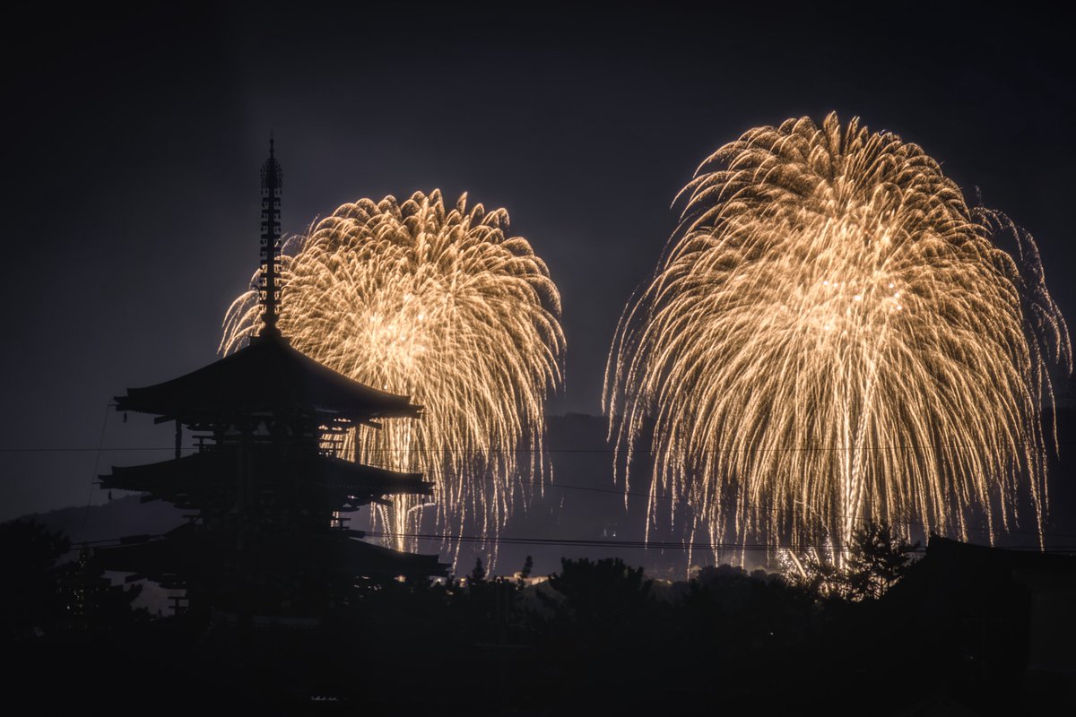 トナカイ (@tonakai514) / Posts / X