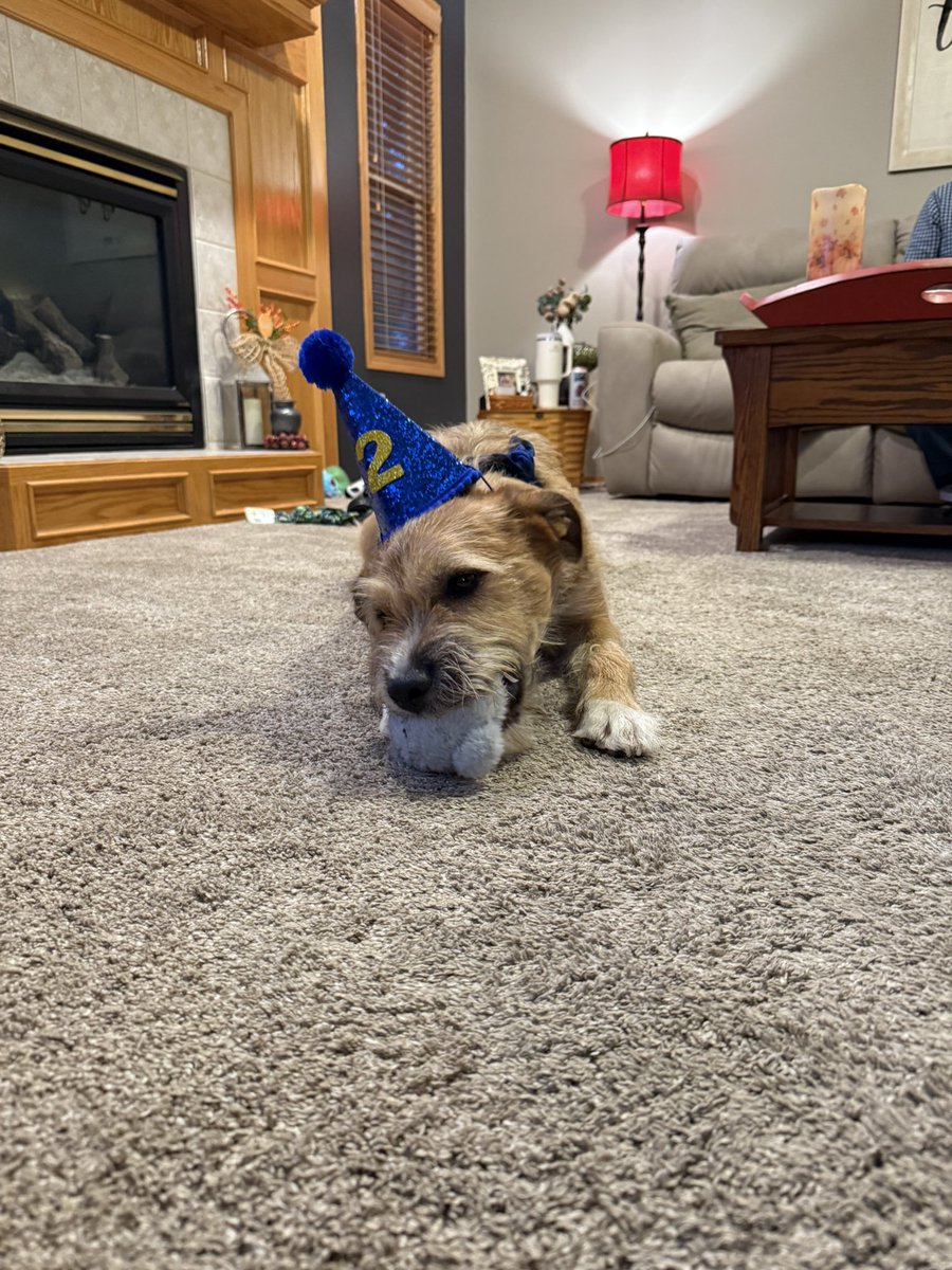 STEMTeach@Wichita tweet media