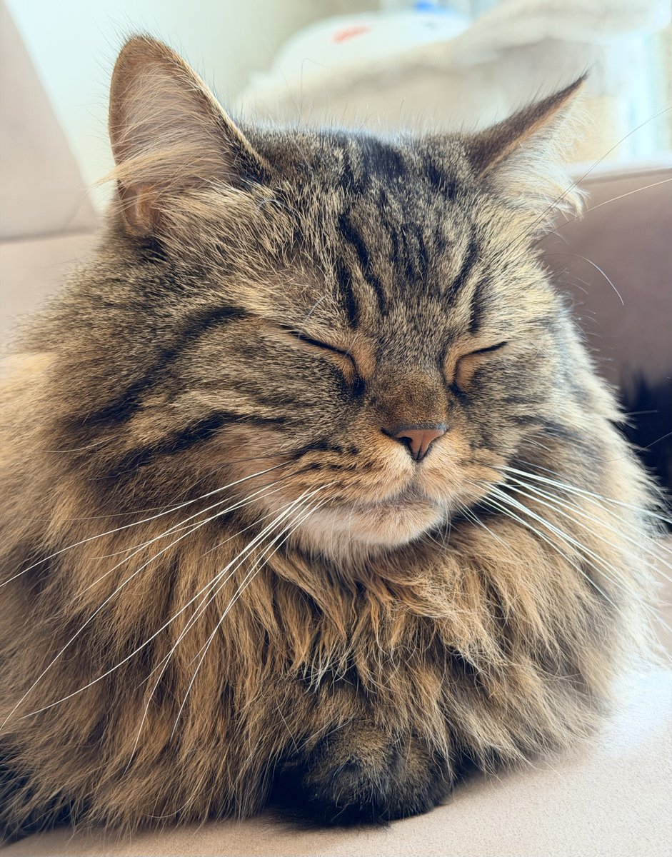 仏顔してる
おはようございます🌱