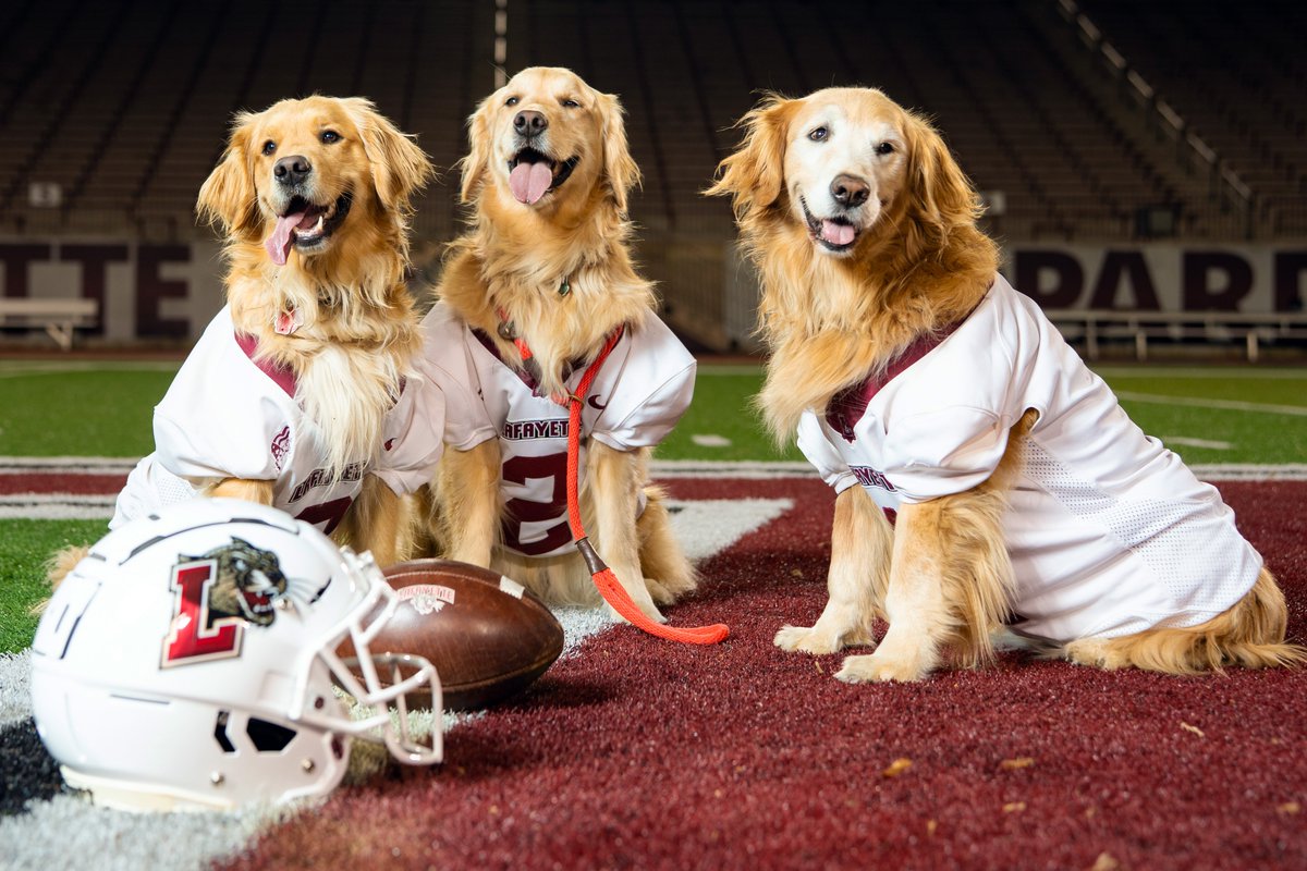 Lafayette College tweet media