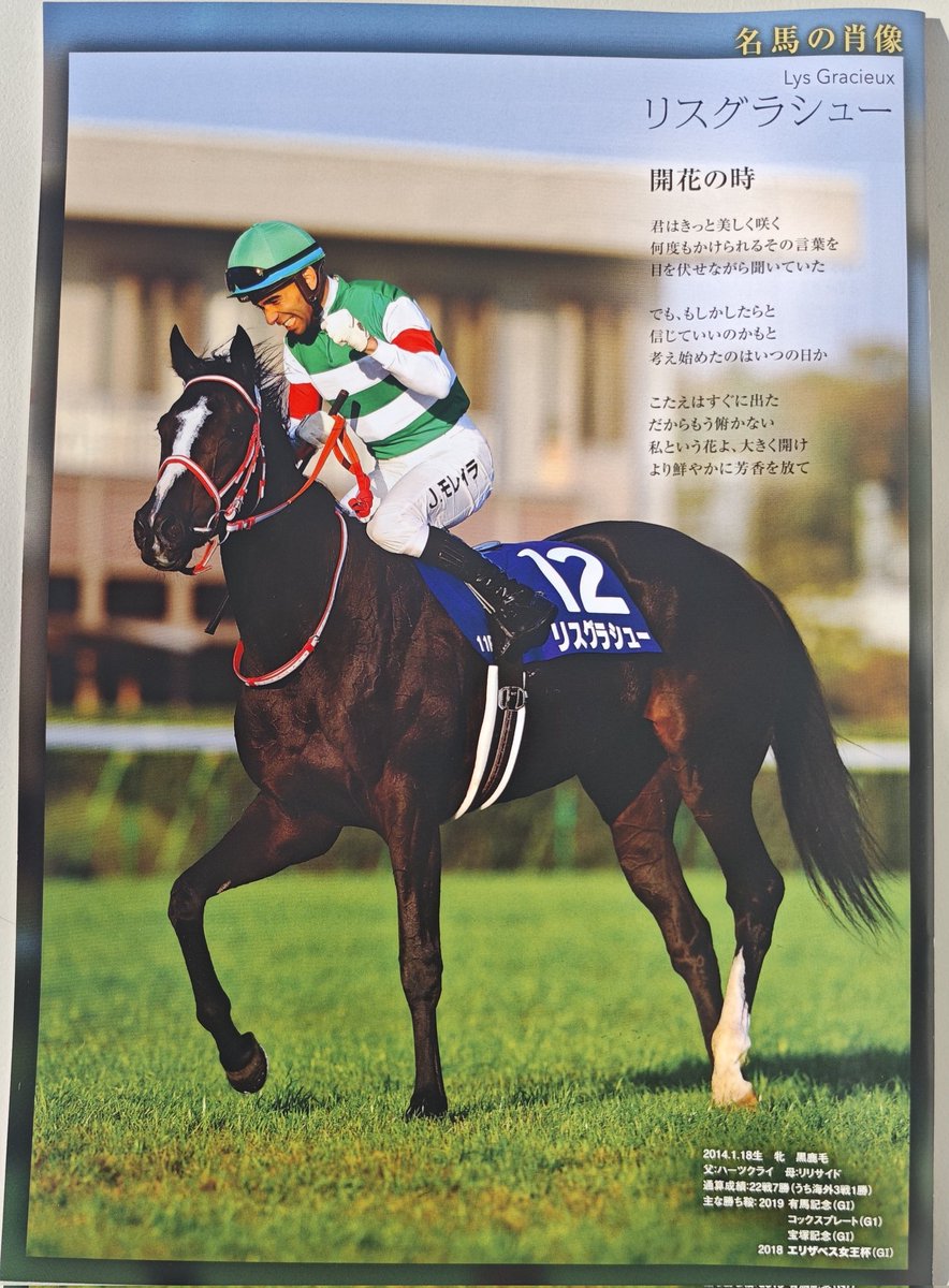 レープロの裏表紙は、 2018年覇者 #リスグラシュー !!! #名馬の肖像