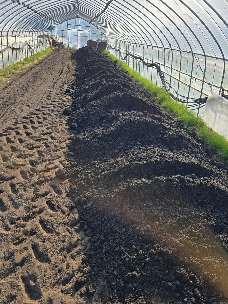 tomato_yoichi's tweet image. 皆様色々ありがとうございました
今回は何もかもが重なって無理だという判断になりました

今日は来年の床土16立米もハウス内に搬入しなきゃならないので残念ですが諦めます