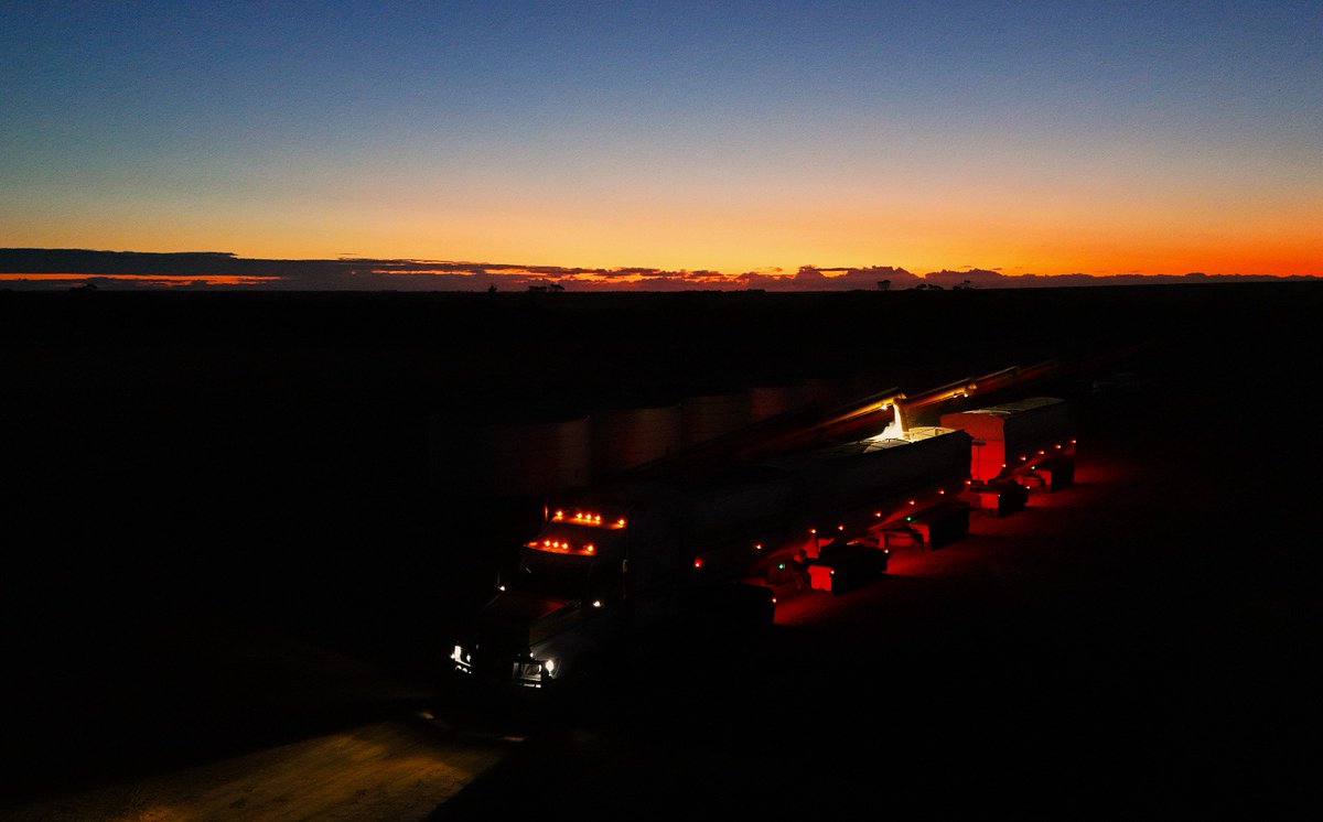 Rain Plaado tweet media